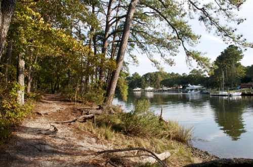 best-places-for-dating